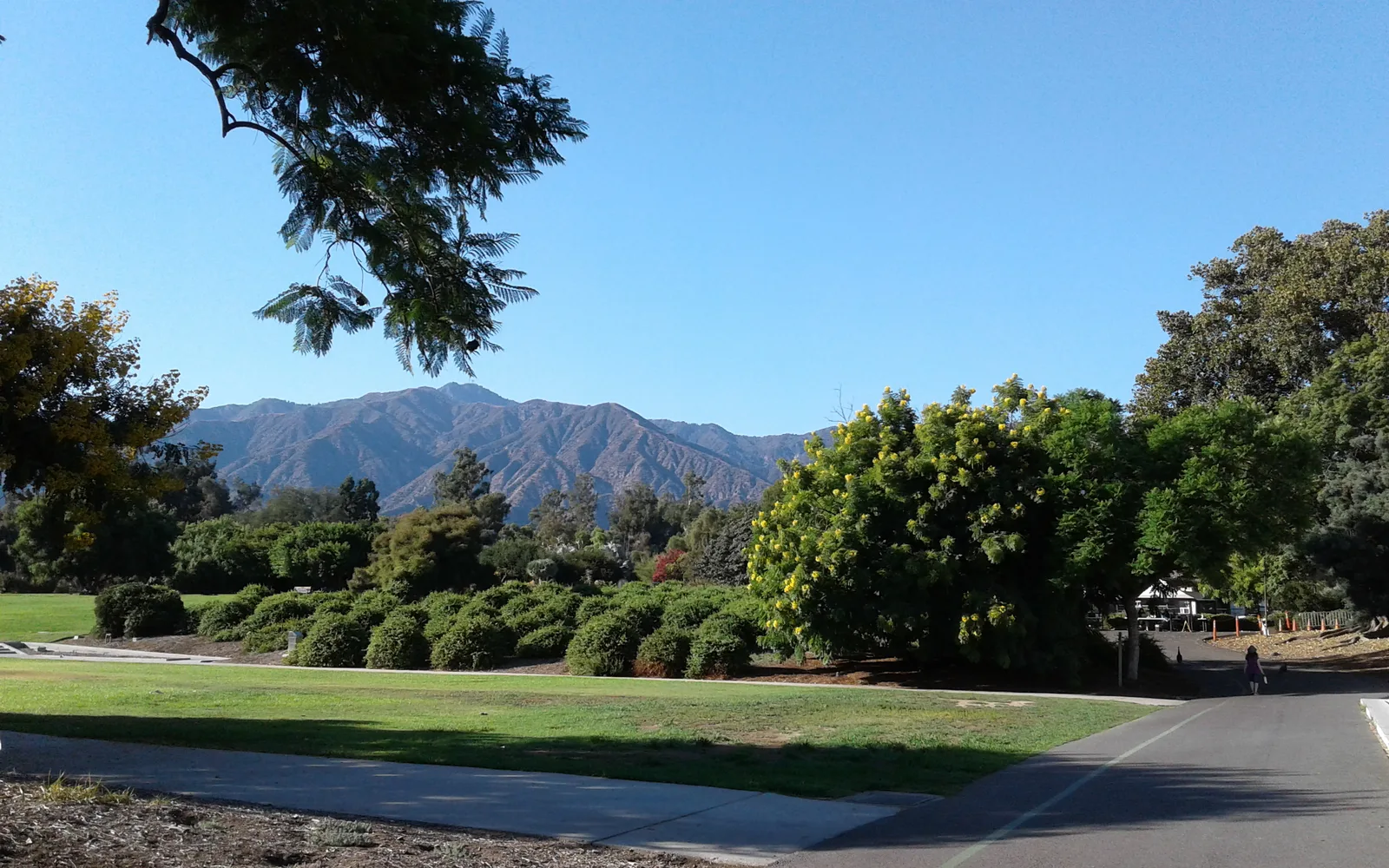 Los Angeles County Arboretum and Botanic Garden with San Gabriel Mountains in the distance